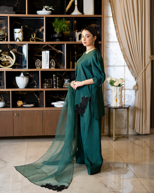 “Emerald Enchant – Silk & Organza Embroidered Ensemble”