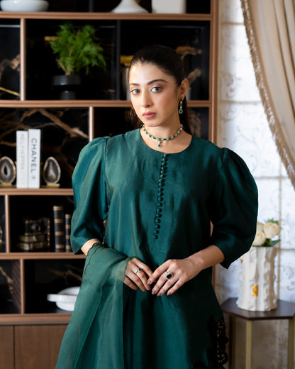 “Emerald Enchant – Silk & Organza Embroidered Ensemble”