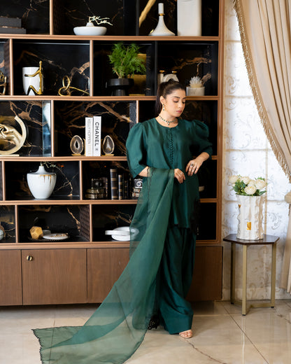 “Emerald Enchant – Silk & Organza Embroidered Ensemble”